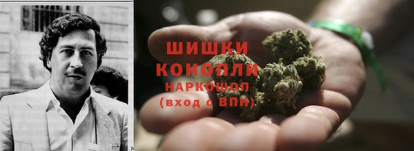 прущие крисы Аркадак