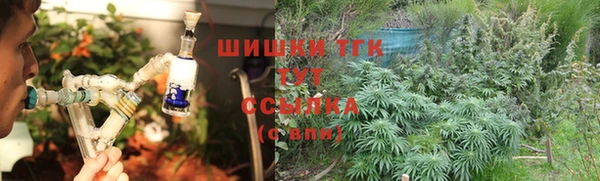 прущие крисы Аркадак