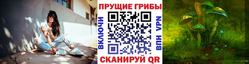 Псилоцибиновые грибы Psilocybe  мориарти состав  Буинск 